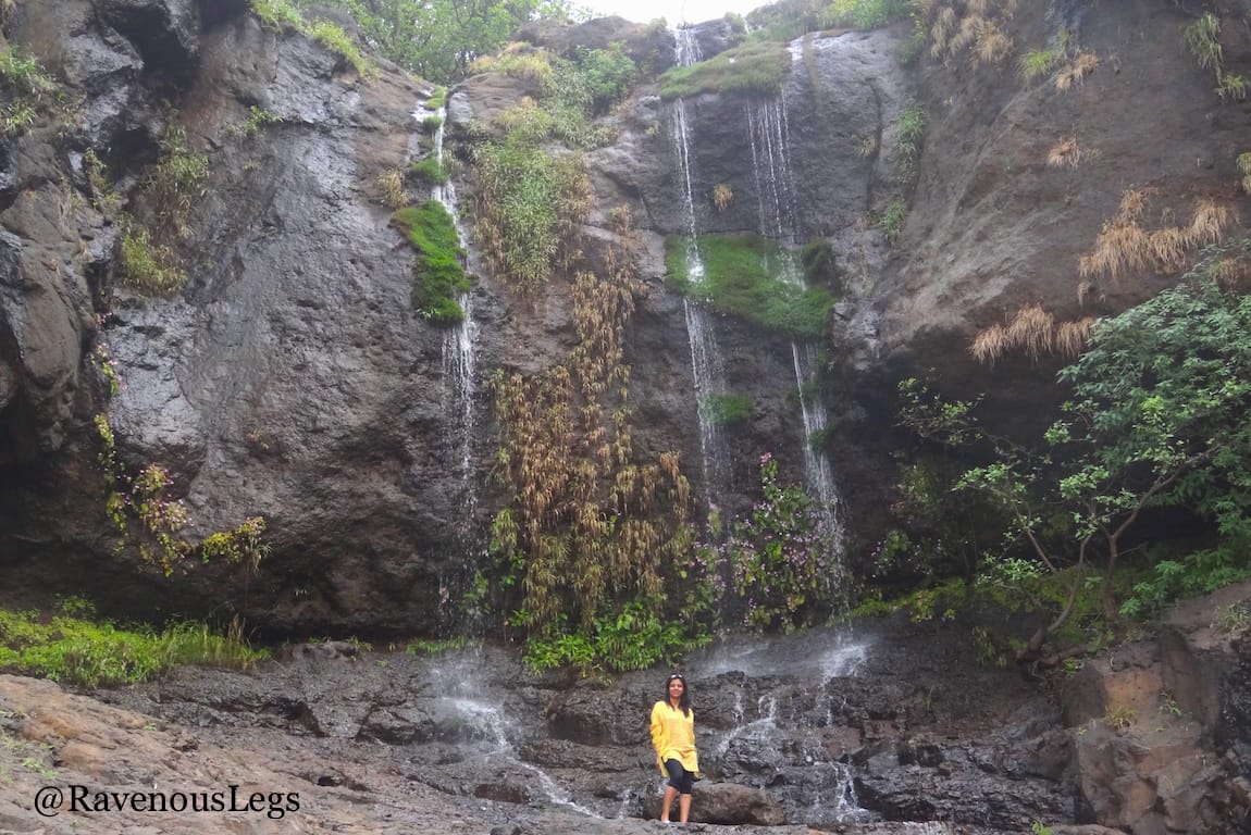 Waterfalls in the western ghats