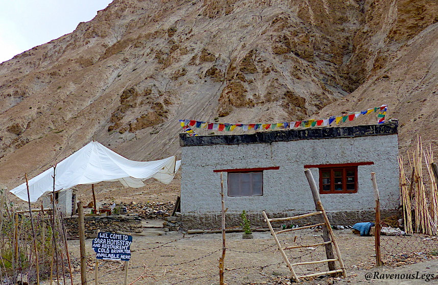 Homestays - Markha Valley trek in Ladakh