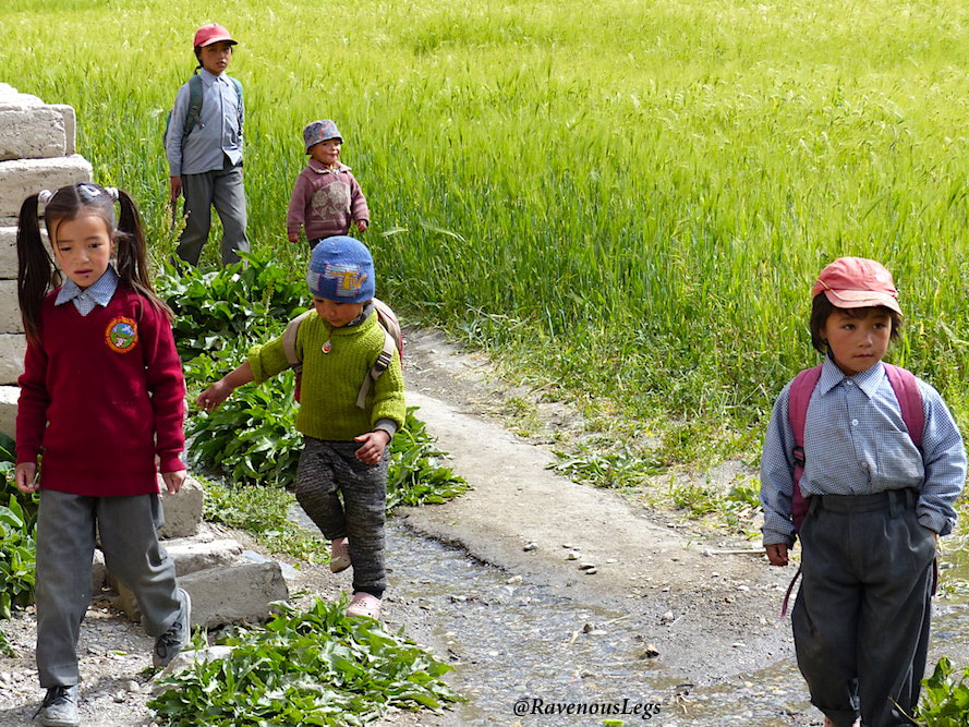 Ladakhi school kids - Markha Valley trek in Ladakh