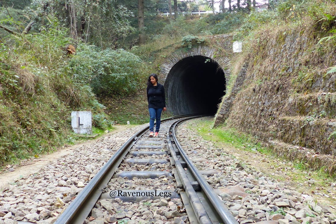 Kalka-Shimla toy train railway track - UNESCO world heritage site