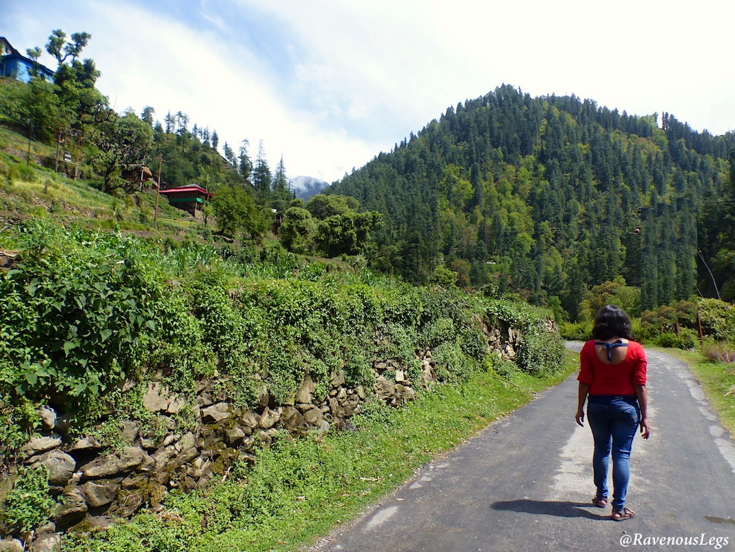 Walking down the roads of Palachan Valley, Himachal Pradesh