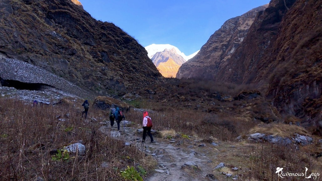 Deurali to Machahpuchare Base Camp - Annapurna Base Camp trail