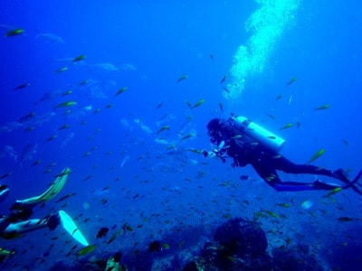 Scuba diving in Havelock Island - my advanced open water certification