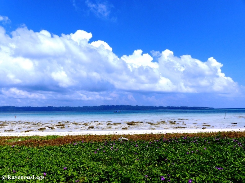 Havelock Island, Andaman & Nicobar Islands