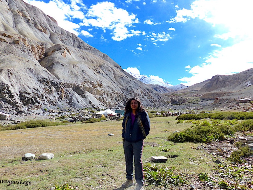 Thochuntse campsite - Markha Valley trek in Ladakh
