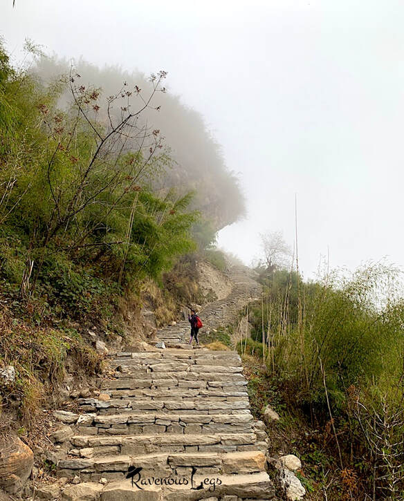 Stone steps to Hinku Cave - Annapurna Base Camp trail