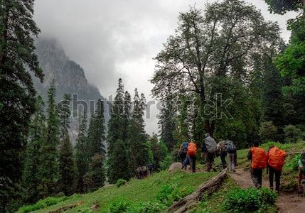 Top 3 Places for Trekking in Manali With Family