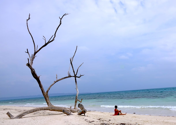 Havelock Island - what makes it special