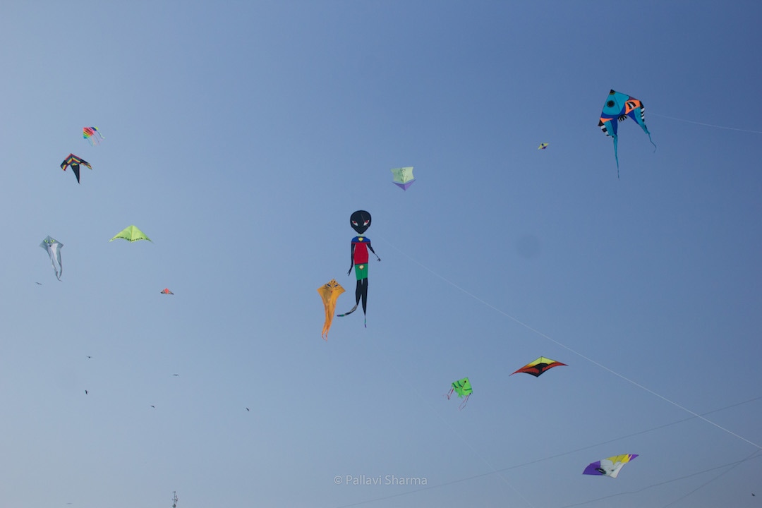 Variety of kites from different nationalities at International Kite Festival