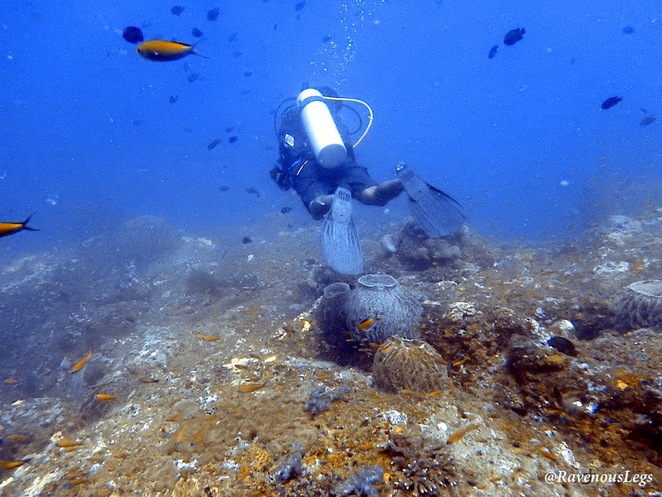 Dixon's Pinnacle - Scuba Diving in Andaman Islands