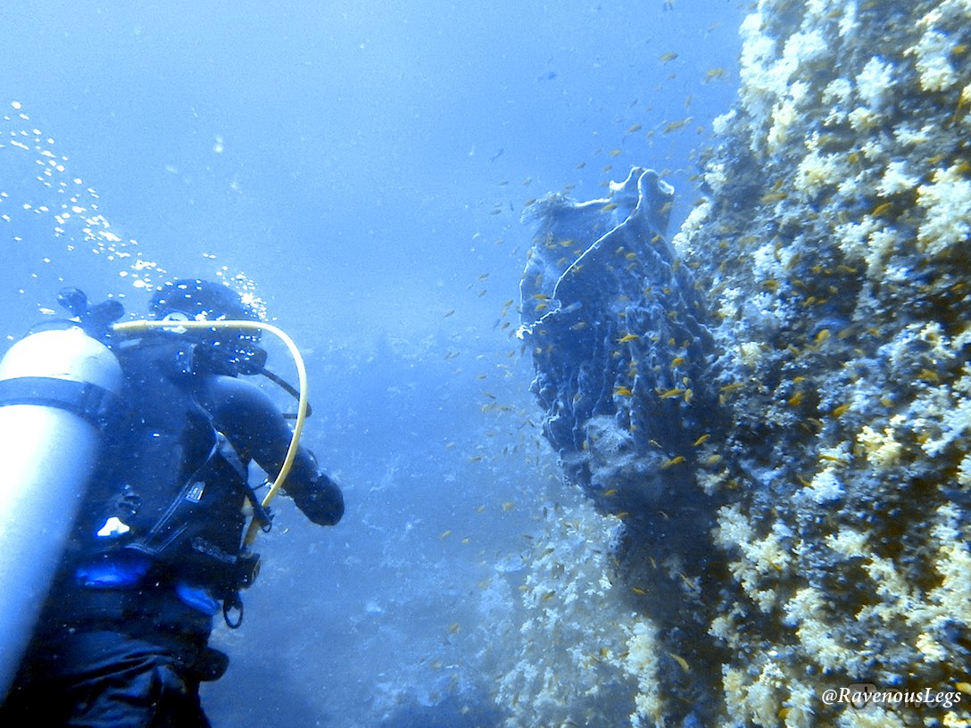Scuba Diving in Andaman Islands