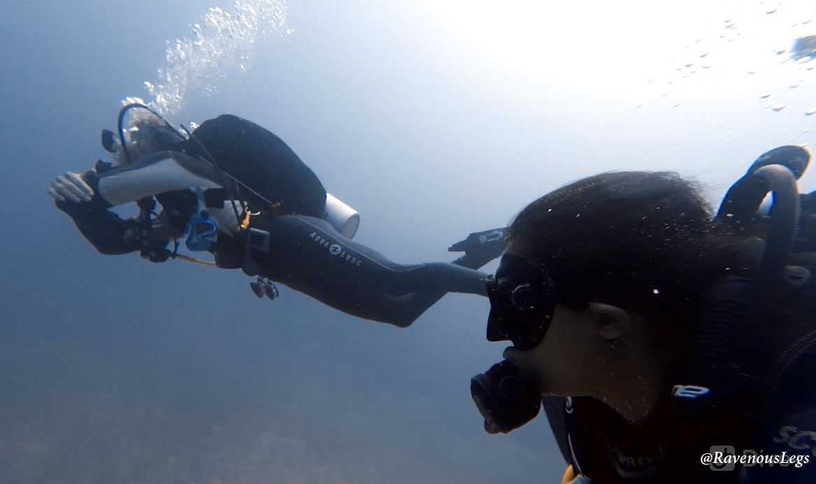 Open Water Diver Certification: Scuba Diving - Gili Trawangan