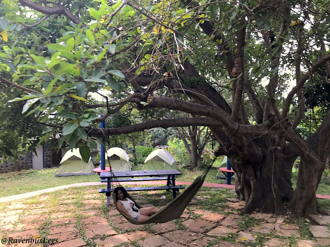 Camping in the garden at Native Place, Kamshet