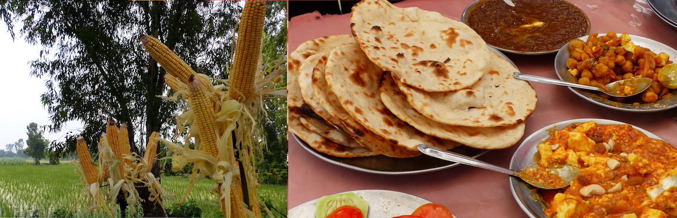 Chhali (corn) and punjabi food