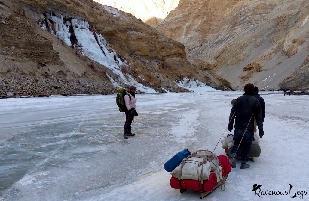 Local sledges on chadar trek ladakh