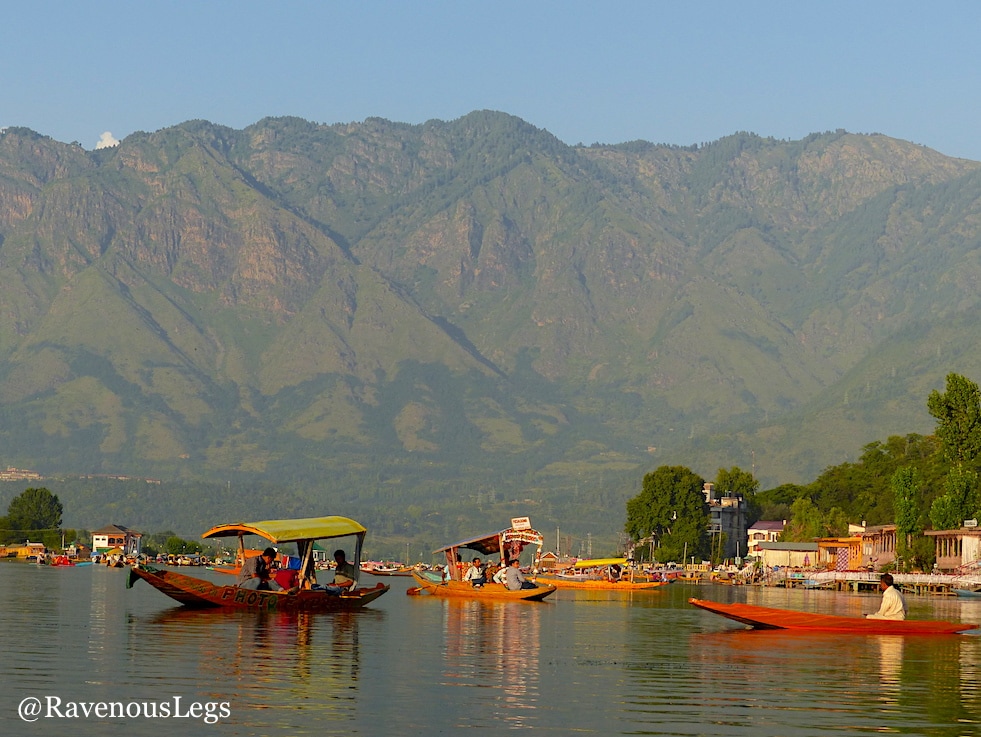 shikharas on dal lake, kashmir