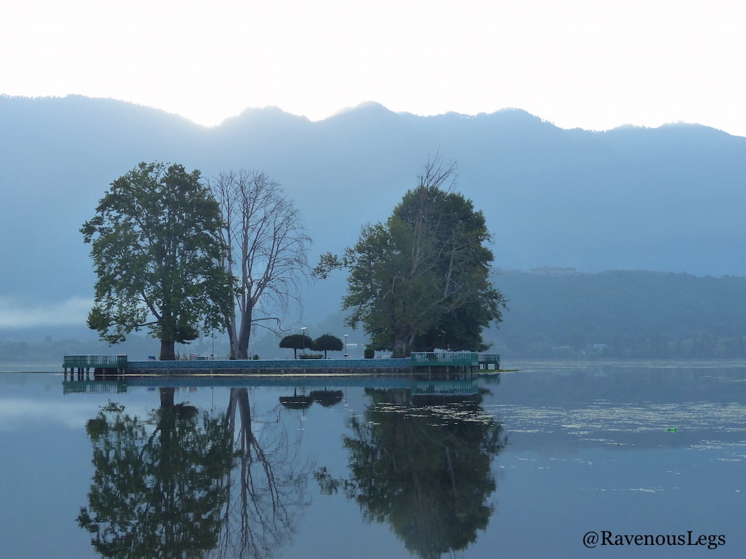 Char Chinar at Dal Lake, Kashmir