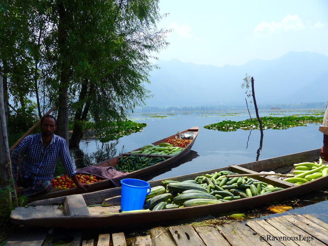 Floating vegetable stores on Dal Lake, Kashmir