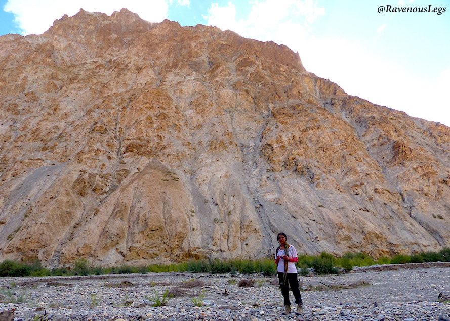 Trans Himalayan Range - Markha Valley trek in Ladakh