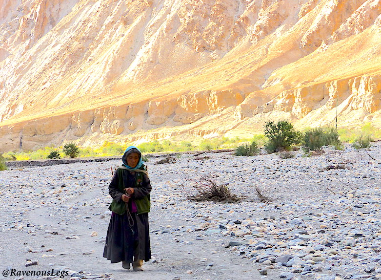 Ladakhi lady - Markha Valley trek in Ladakh
