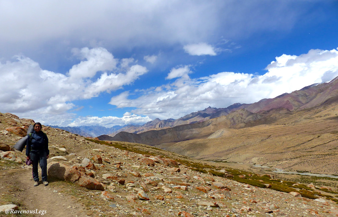 on the way to Nimaling - Markha Valley trek in Ladakh