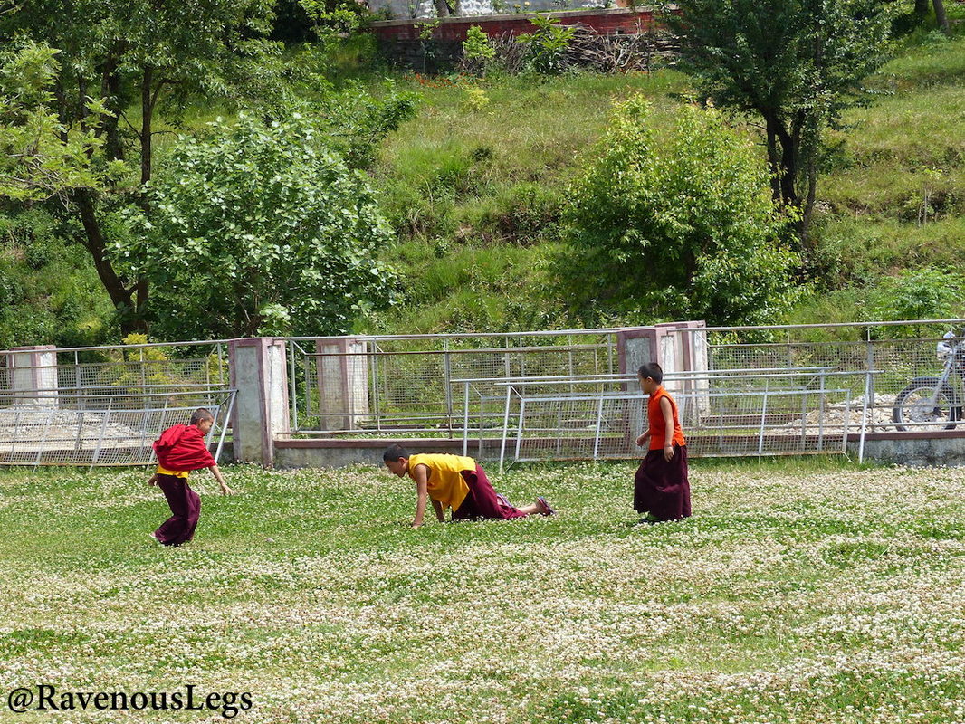 The kid monks in Bir, Himachal Pradesh