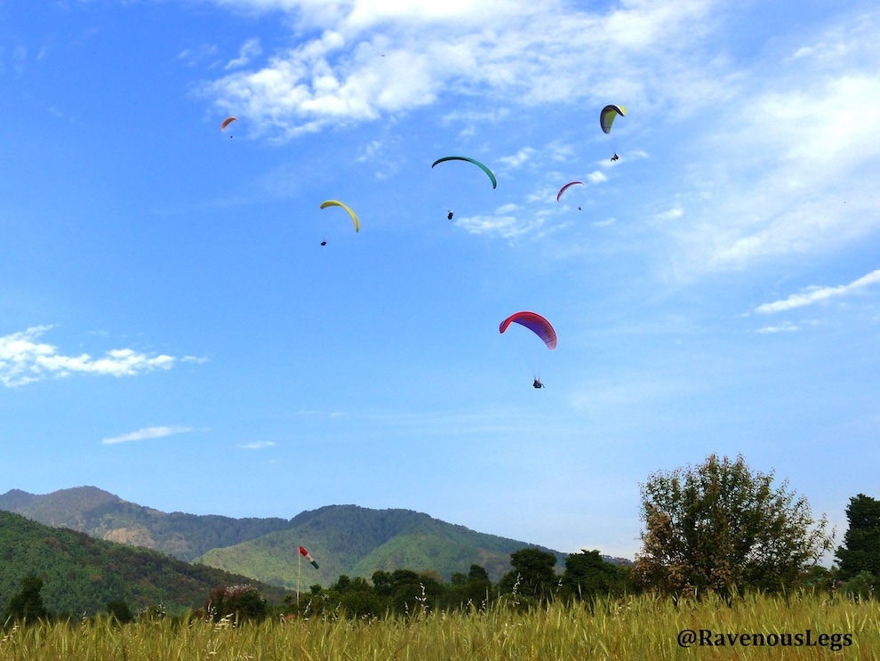 Paragliding in Bir, Himachal Pradesh, the view from my terrace