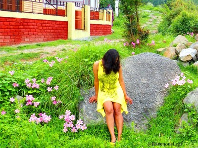 Bir - my first abode in the Himalayas