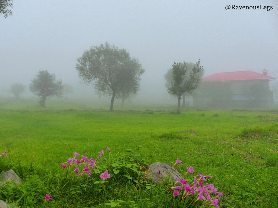 Foggy mornings in Bir, Himachal Pradesh