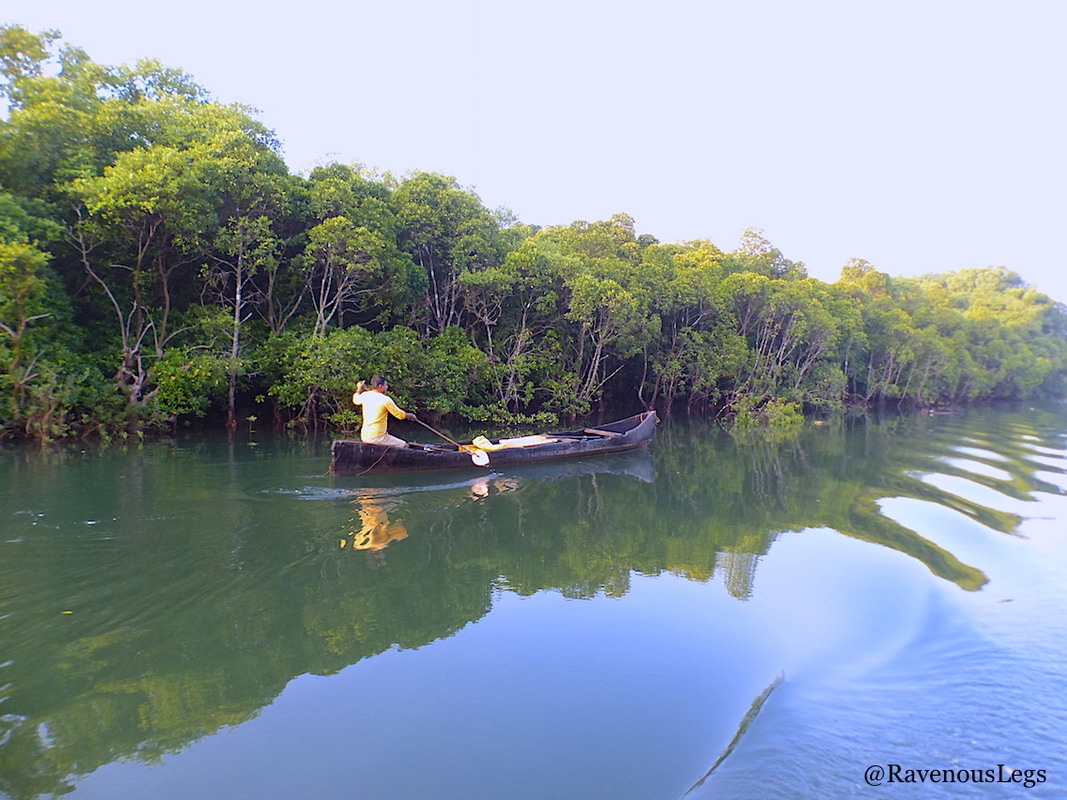 local fisherman riding canoe on Mandovi river at Chorao Island