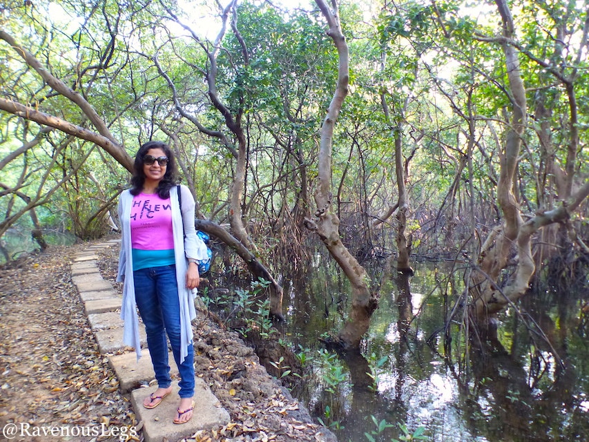 Walking through the mangroves at Salim Ali Bird Sanctuary on Chorao Islands