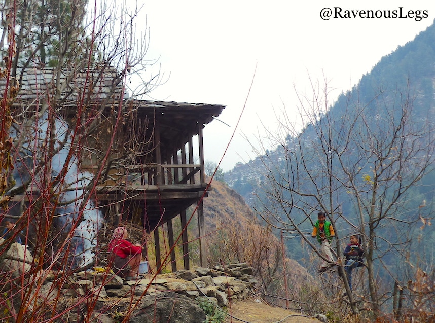Kids playing on trees in Tirthan Valley