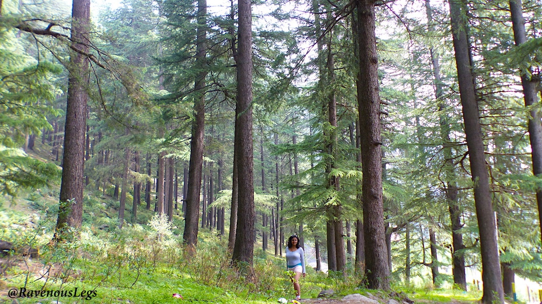 Nature trail to view Kullu valley at the sunset