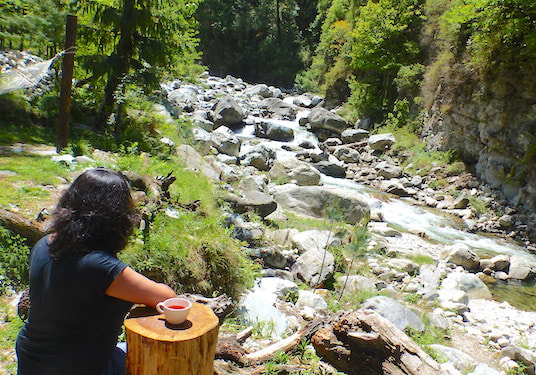 Palachan Valley, Himachal Pradesh