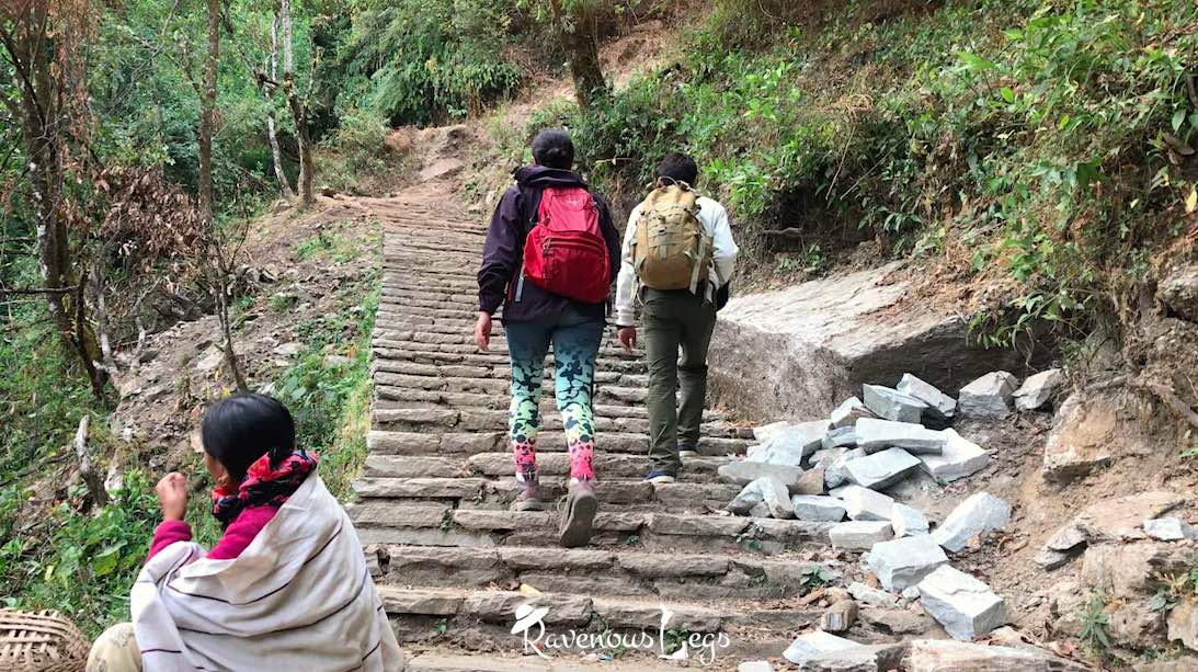 Stone Steps towards Chhomrong on Annapurna Base Camp trail