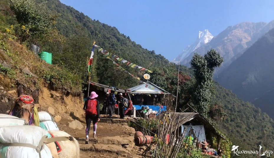 Fishtail mountain on way to Sinuwa from Chhomrong - Annapurna Base Camp trail