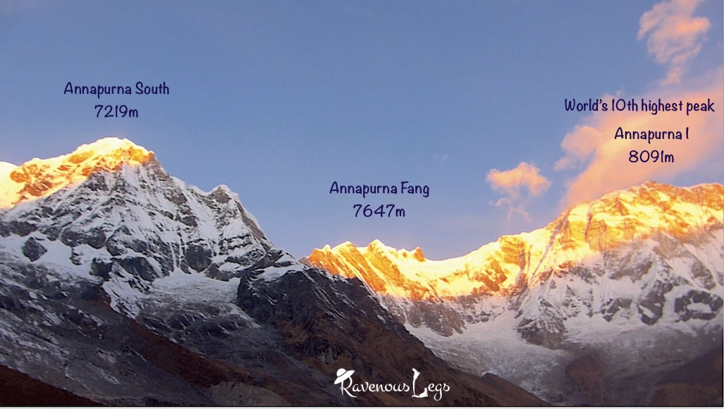 View of Annapurna Range of Mountains from Annapurna Base Camp