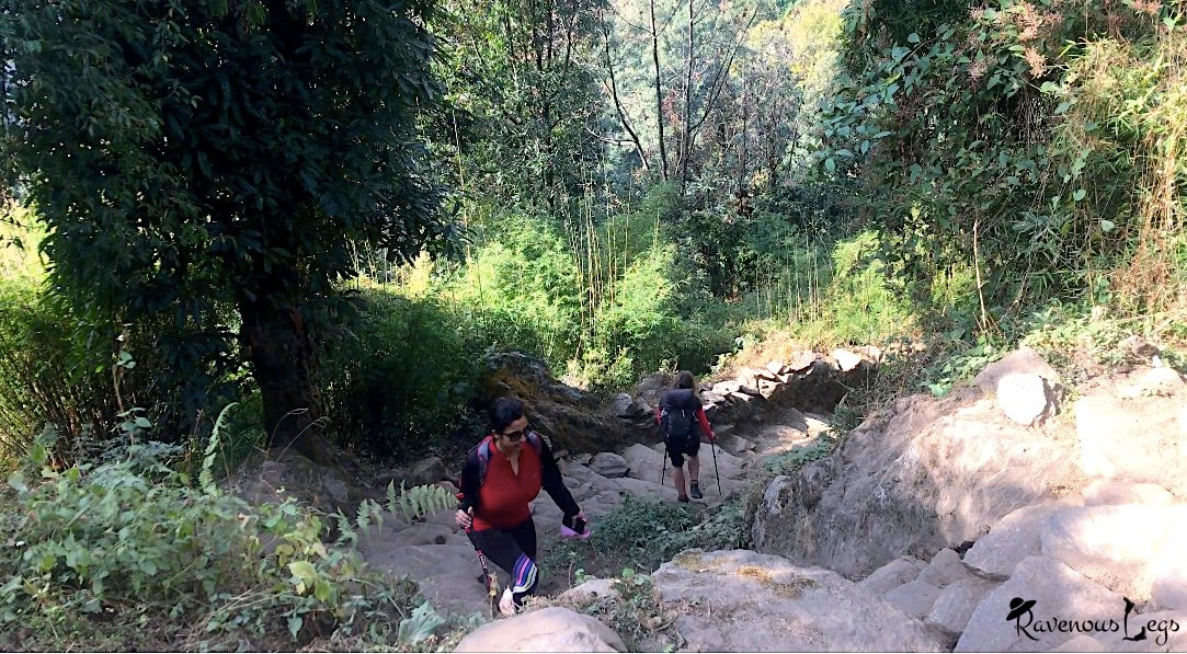 Annapurna Conservation Area Project - building trekking trails with stone steps