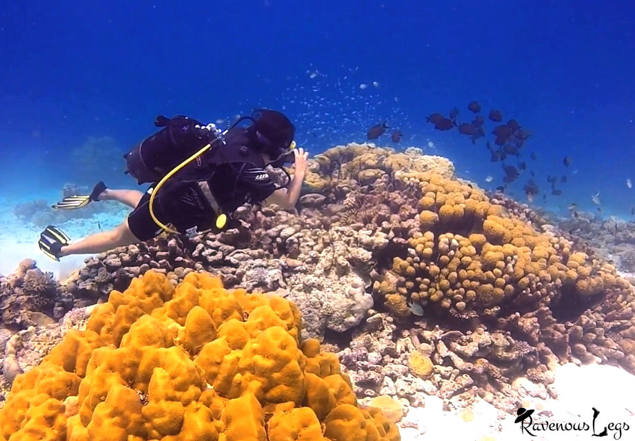 Scuba Diving in Maldives - Laamu Atoll