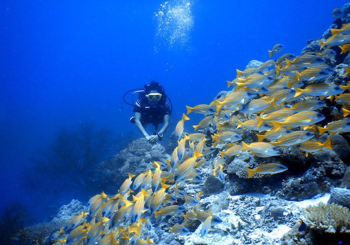 Scuba Diving in Havelock -  Andaman Islands, India