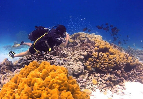 Scuba Diving in Laamu Atoll, Maldives - Fun Diving