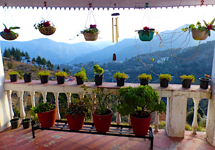 The white Peaks - Ramgarh, Kumaon, Uttarakhand: ​boutique homestay